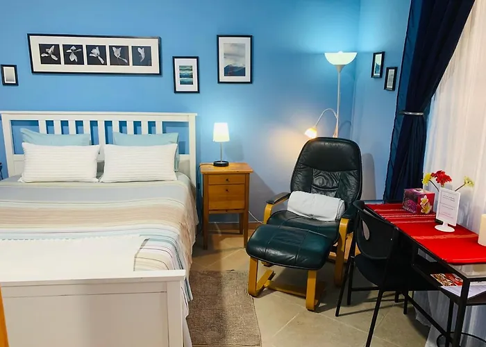 Stephen Center Tirana